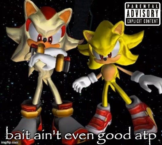 sonic n shadow | bait ain't even good atp | image tagged in sonic n shadow | made w/ Imgflip meme maker