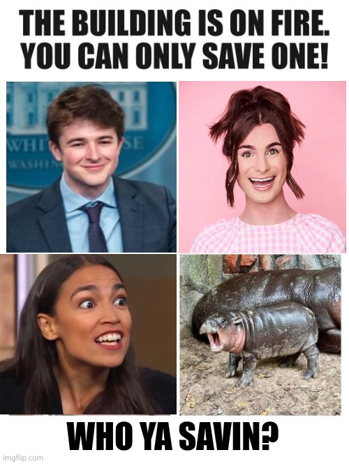 EASY CHOICE | WHO YA SAVIN? | image tagged in memes,democrats,aoc,harry sisson,dylan mulvaney,politics | made w/ Imgflip meme maker