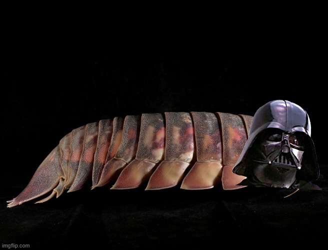 There's a new Sith in town: meet Bathynomus Vaderi (biologists are geeks too!) | image tagged in darth vader crustacean,geeks,scientist | made w/ Imgflip meme maker