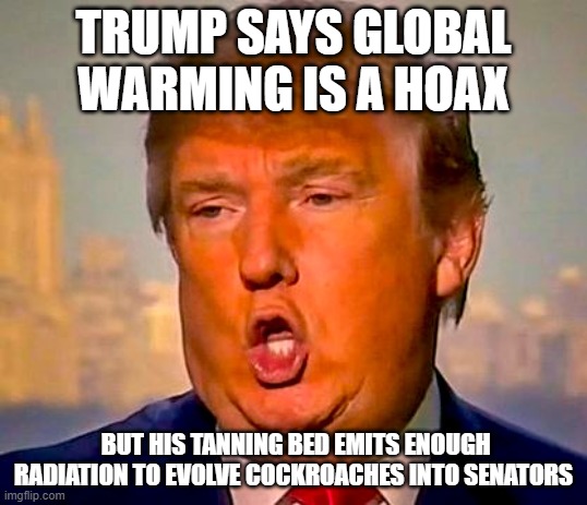 Trump Orange | TRUMP SAYS GLOBAL WARMING IS A HOAX; BUT HIS TANNING BED EMITS ENOUGH RADIATION TO EVOLVE COCKROACHES INTO SENATORS | image tagged in trump orange | made w/ Imgflip meme maker