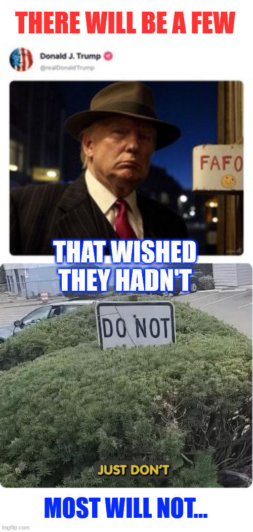 FAFO... the ones that do will wish they hadn't | THERE WILL BE A FEW; THAT WISHED THEY HADN'T; MOST WILL NOT... | image tagged in president trump,keeping campaign promises,what america voted for,deporting criminal aliens | made w/ Imgflip meme maker