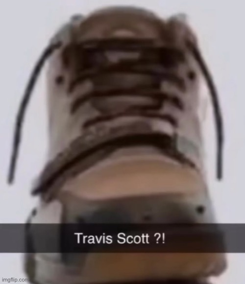 Fin fin fin fin fin | image tagged in gifs,memes,funny,shitpost,travis scott,msmg | made w/ Imgflip meme maker