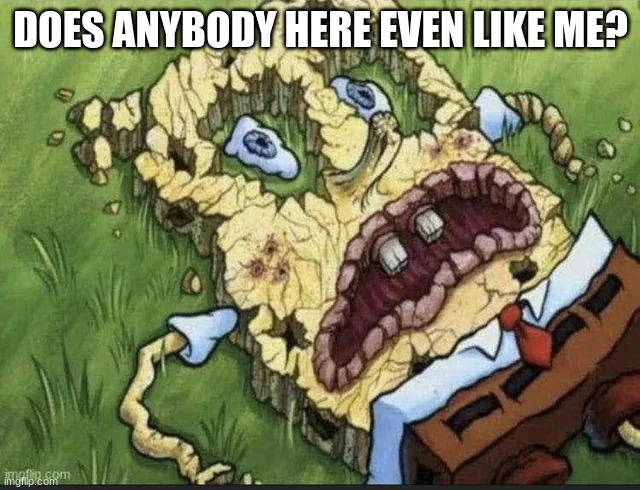 anybody? | DOES ANYBODY HERE EVEN LIKE ME? | image tagged in spongebob's crusty ass on the ground | made w/ Imgflip meme maker