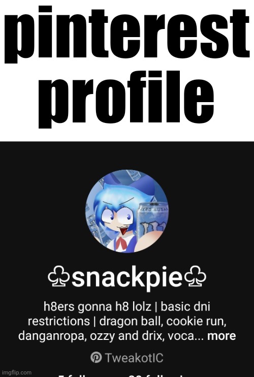 pinterest profile | made w/ Imgflip meme maker