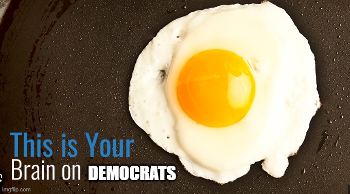 Your brain on Democrats | DEMOCRATS | image tagged in democrats,liberal logic,liberal tears,maga,united states,government corruption | made w/ Imgflip meme maker