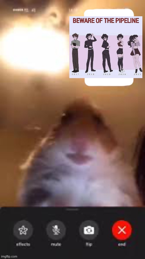 Hamster calling | image tagged in hamster calling | made w/ Imgflip meme maker
