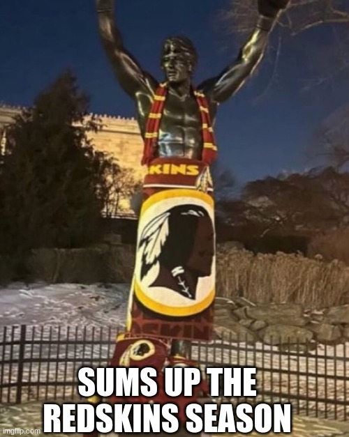 Redskins protest meme | SUMS UP THE REDSKINS SEASON | image tagged in memes,washington redskins,nfl memes | made w/ Imgflip meme maker