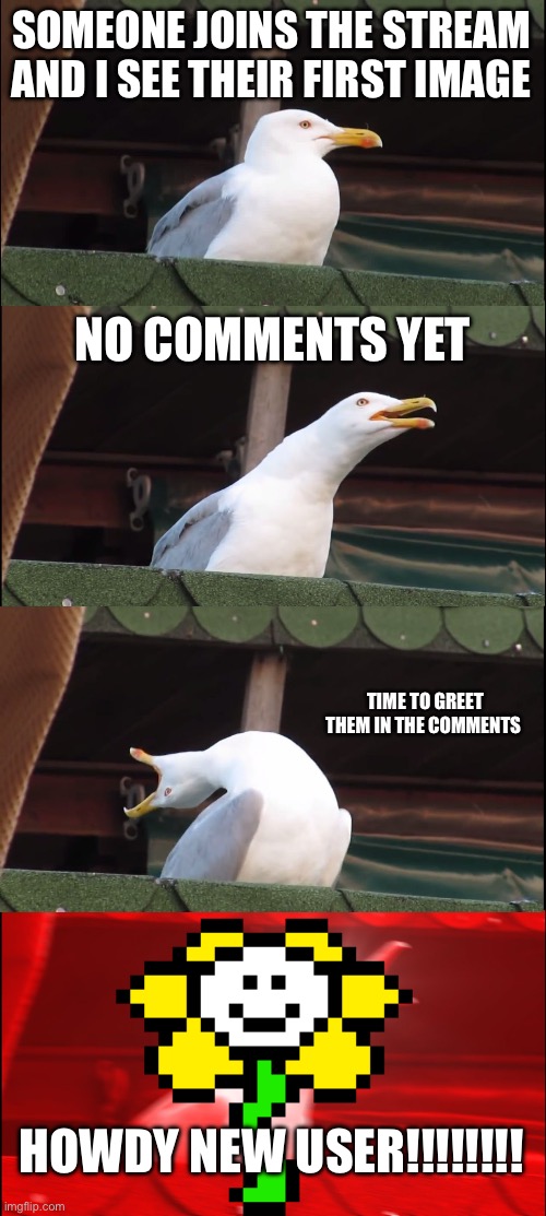 How I greet new users | SOMEONE JOINS THE STREAM AND I SEE THEIR FIRST IMAGE; NO COMMENTS YET; TIME TO GREET THEM IN THE COMMENTS; HOWDY NEW USER!!!!!!!! | image tagged in memes,inhaling seagull,flowey | made w/ Imgflip meme maker