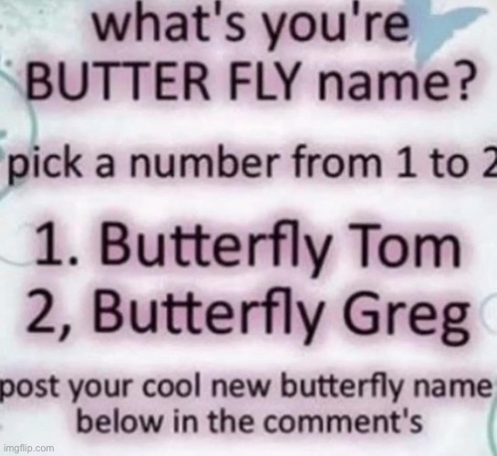 Butterfly name | image tagged in gifs,memes,funny,shitpost,msmg | made w/ Imgflip meme maker