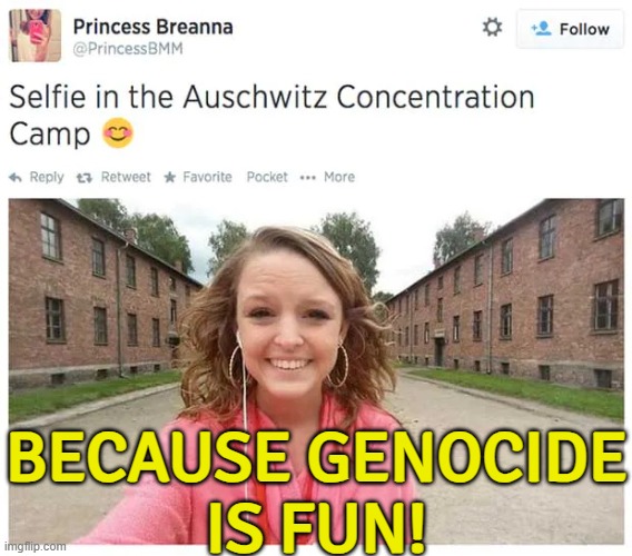 Because Genocide Is Fun! | BECAUSE GENOCIDE
IS FUN! | image tagged in auschwitz selfie,genocide,sarcasm,adolf hitler,nazis,world war 2 | made w/ Imgflip meme maker