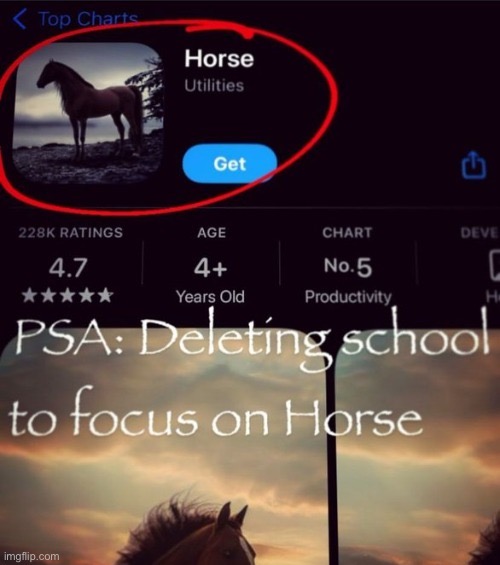 Deleting school to focus on horse | image tagged in deleting school to focus on horse | made w/ Imgflip meme maker