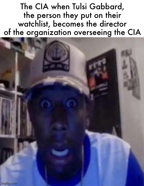 tyler the creator | The CIA when Tulsi Gabbard, the person they put on their watchlist, becomes the director of the organization overseeing the CIA | image tagged in tyler the creator | made w/ Imgflip meme maker