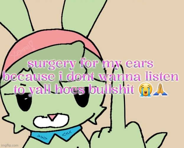 RAHHHHH FUCK YOU | surgery for my ears because i dont wanna listen to yall hoes bullshit 😭🙏 | image tagged in rahhhhh fuck you | made w/ Imgflip meme maker