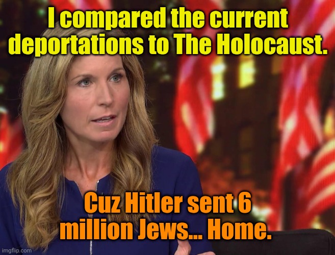 Do they EVER listen to what comes out of their twisted minds? | I compared the current deportations to The Holocaust. Cuz Hitler sent 6 million Jews... Home. | image tagged in nicolle wallace dnc 2020 | made w/ Imgflip meme maker