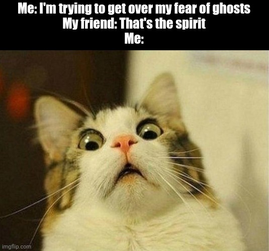 Image Title | Me: I'm trying to get over my fear of ghosts
My friend: That's the spirit
Me: | image tagged in memes,scared cat | made w/ Imgflip meme maker