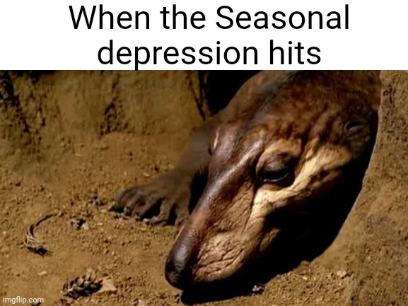 Walking with Dinosaurs Seasonal depression meme | When the Seasonal depression hits | image tagged in blank white template,depression | made w/ Imgflip meme maker