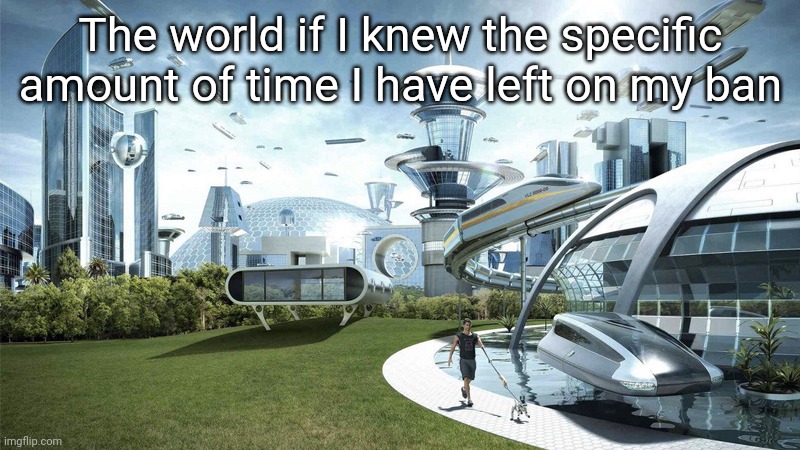 Yes I know I have a fucking hour left, but is it like an hour and a half, hour and 45? HM? | The world if I knew the specific amount of time I have left on my ban | image tagged in the future world if | made w/ Imgflip meme maker