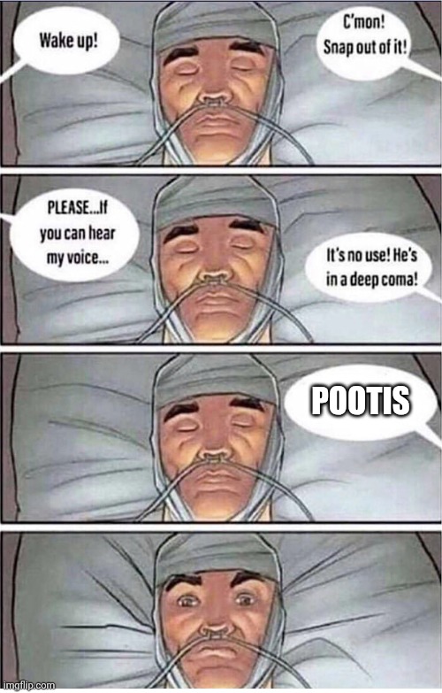 Coma Alert | POOTIS | image tagged in coma alert | made w/ Imgflip meme maker