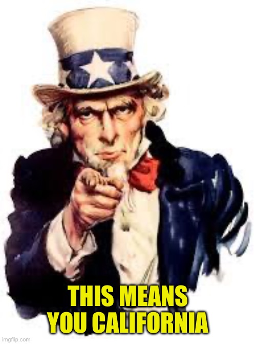 We Want you | THIS MEANS YOU CALIFORNIA | image tagged in we want you | made w/ Imgflip meme maker