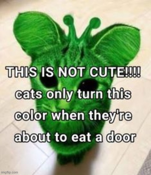 hide ur doors | made w/ Imgflip meme maker