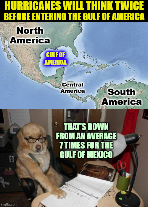 Wait... hurricanes can think? Forget every bad thing I said about them. | HURRICANES WILL THINK TWICE; BEFORE ENTERING THE GULF OF AMERICA; THAT'S DOWN FROM AN AVERAGE 7 TIMES FOR THE
GULF OF MEXICO | image tagged in hurricane,america,accountant dog | made w/ Imgflip meme maker