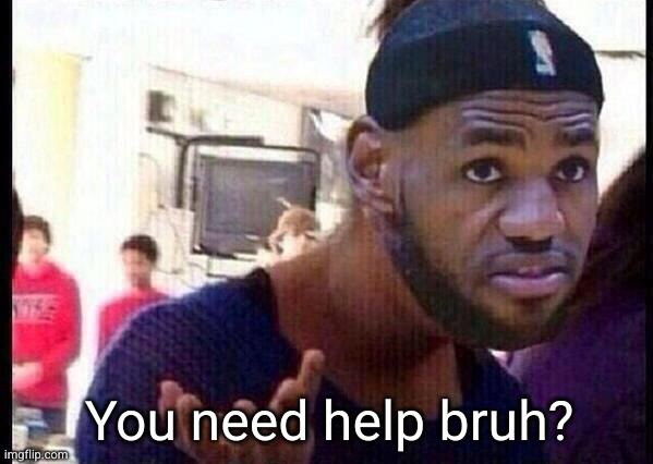 You need help bruh? | You need help bruh? | image tagged in you need help bruh | made w/ Imgflip meme maker