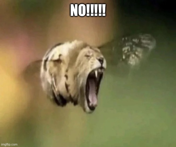 NO!!!!! | made w/ Imgflip meme maker