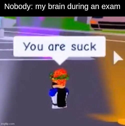 true | Nobody: my brain during an exam | image tagged in you are suck,flamingo | made w/ Imgflip meme maker