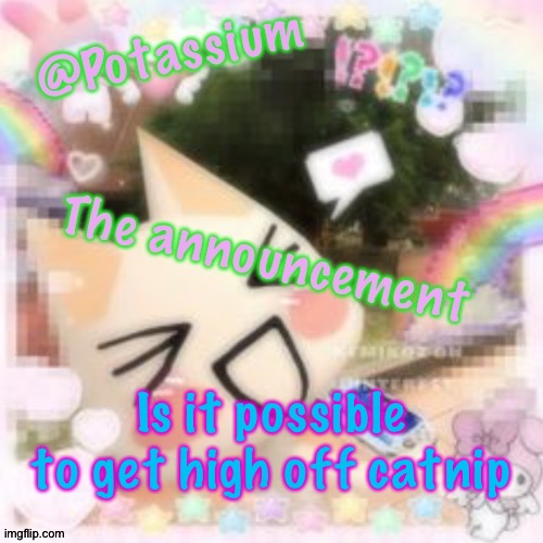 Potassium's Sillycore Template | Is it possible to get high off catnip | image tagged in potassium's sillycore template | made w/ Imgflip meme maker