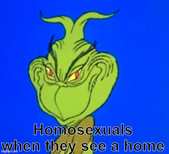 grinch freaky smile | Homosexuals when they see a home | image tagged in grinch freaky smile | made w/ Imgflip meme maker