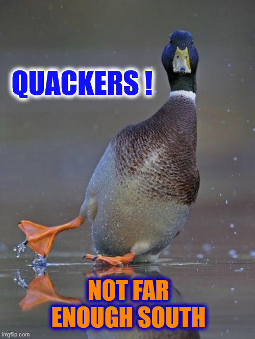 How far will they need to go THIS winter? | QUACKERS ! NOT FAR ENOUGH SOUTH | image tagged in ducks,south,winter,ice,landing | made w/ Imgflip meme maker