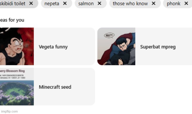 Pinterest what the fuck. | made w/ Imgflip meme maker