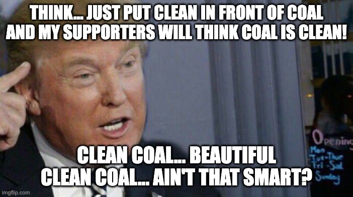 Beautiful Clean Coal | THINK... JUST PUT CLEAN IN FRONT OF COAL AND MY SUPPORTERS WILL THINK COAL IS CLEAN! CLEAN COAL... BEAUTIFUL CLEAN COAL... AIN'T THAT SMART? | image tagged in trump roll safe,donald trump,trump,political meme,political,memes | made w/ Imgflip meme maker