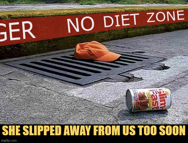 Be aware of what goes down the drain | DJ Anomalous; SHE SLIPPED AWAY FROM US TOO SOON | image tagged in dieting,too soon,miss you,danger zone,skinny | made w/ Imgflip meme maker