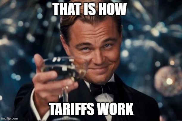 Leonardo Dicaprio Cheers | THAT IS HOW; TARIFFS WORK | image tagged in memes,leonardo dicaprio cheers | made w/ Imgflip meme maker