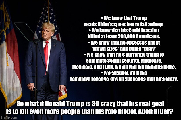 What If | •	We know that Trump reads Hitler's speeches to fall asleep.
•	We know that his Covid inaction killed at least 500,000 Americans.
•	We know that he obsesses about "crowd sizes" and being "bigly."
•	We know that he's currently trying to eliminate Social security, Medicare, Medicaid, and FEMA, which will kill millions more.
•	We suspect from his rambling, revenge-driven speeches that he's crazy. So what if Donald Trump is SO crazy that his real goal is to kill even more people than his role model, Adolf Hitler? | image tagged in donald trump,insane,serial killer | made w/ Imgflip meme maker