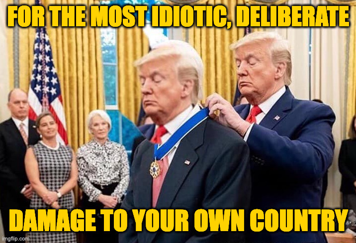 This record will stand for a long time. | FOR THE MOST IDIOTIC, DELIBERATE; DAMAGE TO YOUR OWN COUNTRY | image tagged in trump giving himself an award,memes | made w/ Imgflip meme maker