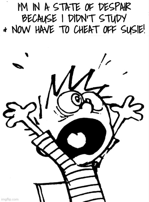 Calvin yelling | I'M IN A STATE OF DESPAIR BECAUSE I DIDN'T STUDY & NOW HAVE TO CHEAT OFF SUSIE! | image tagged in calvin yelling | made w/ Imgflip meme maker