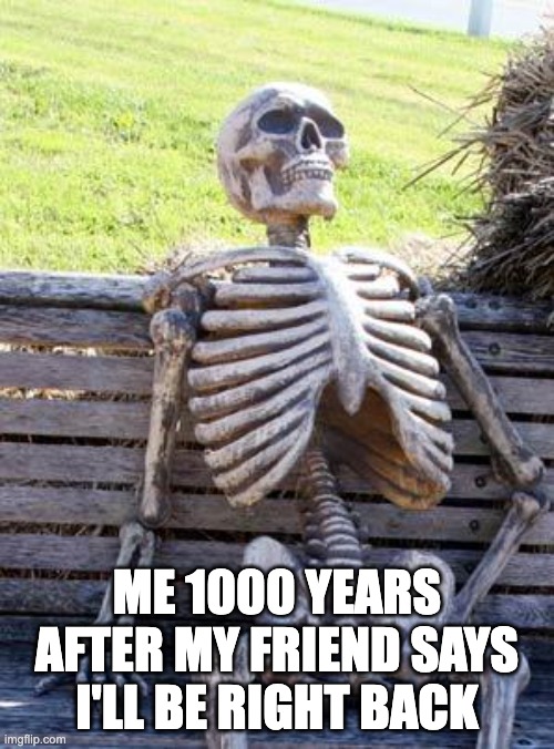 me | ME 1000 YEARS AFTER MY FRIEND SAYS I'LL BE RIGHT BACK | image tagged in memes,waiting skeleton | made w/ Imgflip meme maker