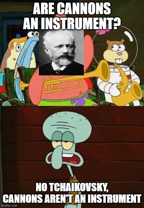 the 1812 overture be like | ARE CANNONS AN INSTRUMENT? NO TCHAIKOVSKY, CANNONS AREN'T AN INSTRUMENT | image tagged in is mayonnaise an instrument | made w/ Imgflip meme maker