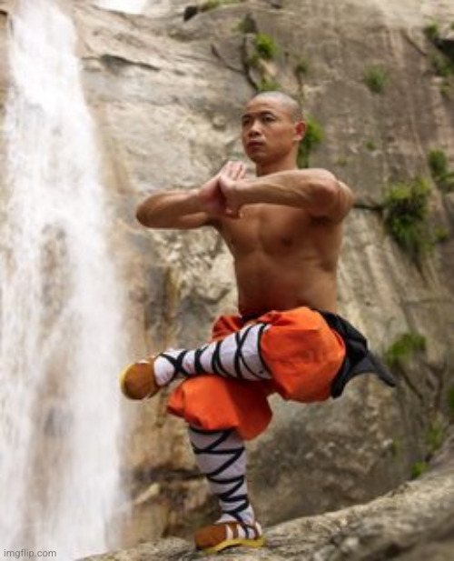 Shaolin Meditation | image tagged in shaolin meditation | made w/ Imgflip meme maker