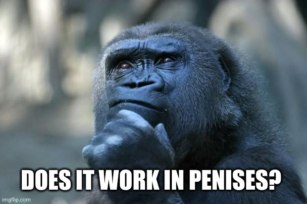 Deep Thoughts | DOES IT WORK IN PENISES? | image tagged in deep thoughts | made w/ Imgflip meme maker