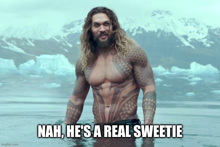 aquaman | NAH, HE'S A REAL SWEETIE | image tagged in aquaman | made w/ Imgflip meme maker