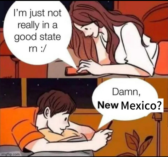 damnit this state sometimes | image tagged in new mexico,funny,boy and girl texting | made w/ Imgflip meme maker