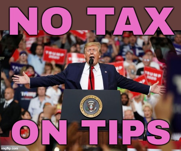 Trump's 'No Tax On Tips' Promise | NO TAX; ON TIPS | image tagged in trump rally 2,taxation is theft,taxes,donald trump,breaking news,income taxes | made w/ Imgflip meme maker