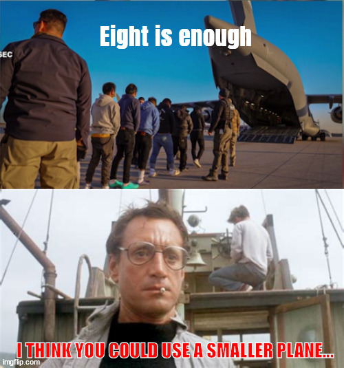 Eight is enough? | Eight is enough; I THINK YOU COULD USE A SMALLER PLANE... | image tagged in eight is enough,excessive waste of tax dollars failure elon,you need to get a smaller plane,jaws vs trump's laws | made w/ Imgflip meme maker