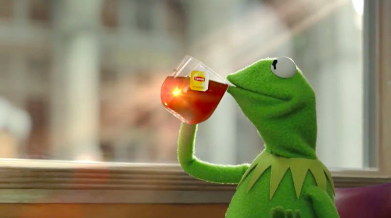 Kermit the frog sipping tea Blank Meme Template