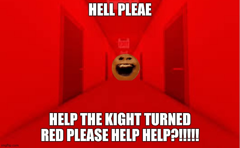 I WAS PUTTING A SIGN THEN THIS HAPPENDED PLEASE EVERYBIDY | HELL PLEAE; HELP THE KIGHT TURNED RED PLEASE HELP HELP?!!!!! | image tagged in help me,please help me,help | made w/ Imgflip meme maker