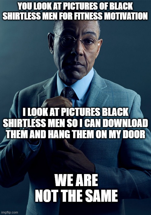 fery relatebale | YOU LOOK AT PICTURES OF BLACK SHIRTLESS MEN FOR FITNESS MOTIVATION; I LOOK AT PICTURES BLACK SHIRTLESS MEN SO I CAN DOWNLOAD THEM AND HANG THEM ON MY DOOR; WE ARE NOT THE SAME | image tagged in gus fring we are not the same | made w/ Imgflip meme maker