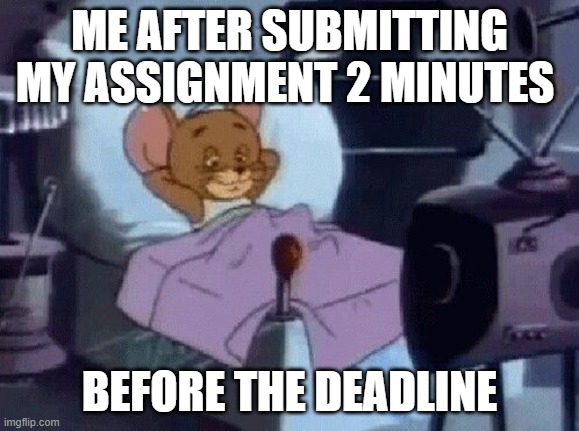 assignment | ME AFTER SUBMITTING MY ASSIGNMENT 2 MINUTES; BEFORE THE DEADLINE | image tagged in memes | made w/ Imgflip meme maker